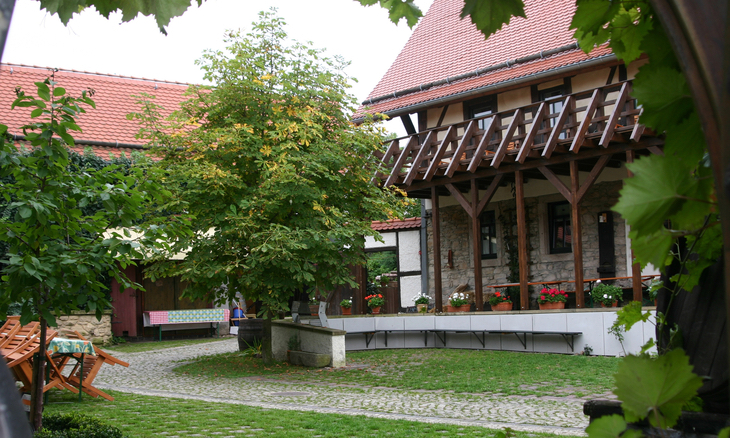 Ein Teil des Weinhofs mit Weinblätter im Vordergrund und ein Gebäude inklusive Balkon im Hintergrund. In der Mitte steht eine Kastanie und auf der Mauer stehen Blumentöpfe. 